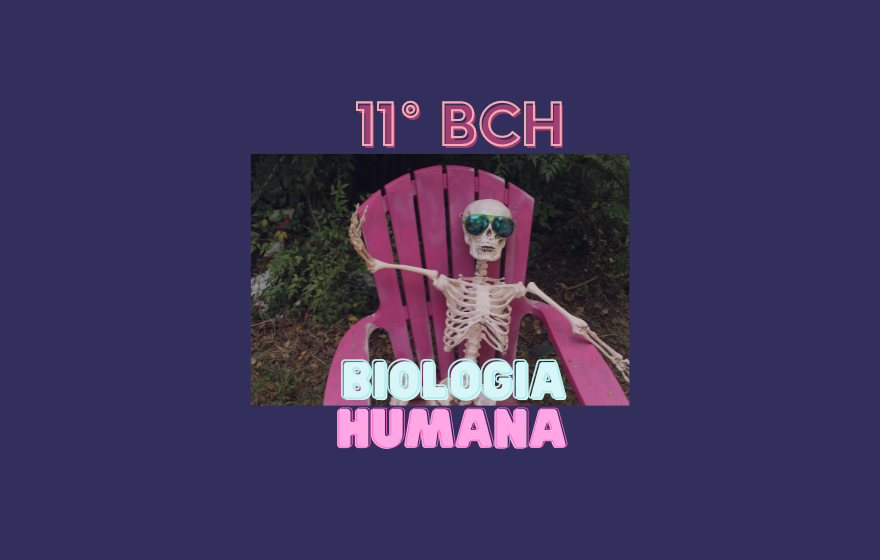 BIOLOGÍA HUMANA (TEG - II DE BACH. EN CH - B) - 2023