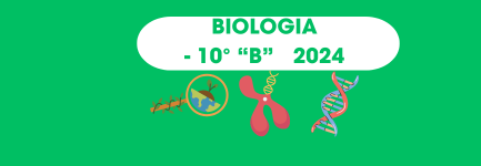 10° "B" Mat BIOLOGÍA (TEG - DÉCIMO GRADO - B) - 2024