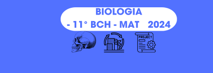 11° BCH Mat - BIOLOGÍA II (TEG - II DE BACH. EN CH - A) - 2024 Mat