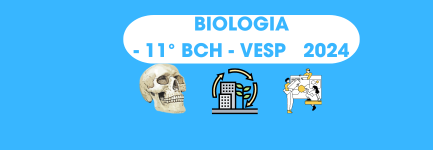 11° BCH - vesp - BIOLOGÍA II (TEG - II DE BACH. EN CH - B) - 2024 vesp