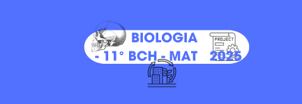 11 BCH MAT BIOLOGÍA II (TEG - II DE BACH. EN CH - A) - 2025