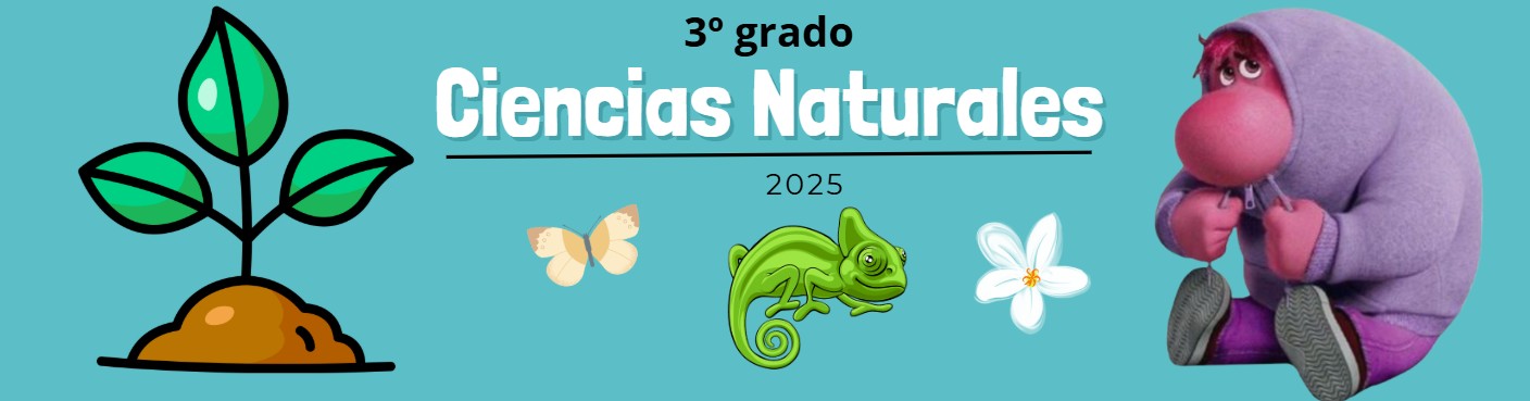 CIENCIAS NATURALES (TEG - TERCER GRADO - U) - 2025