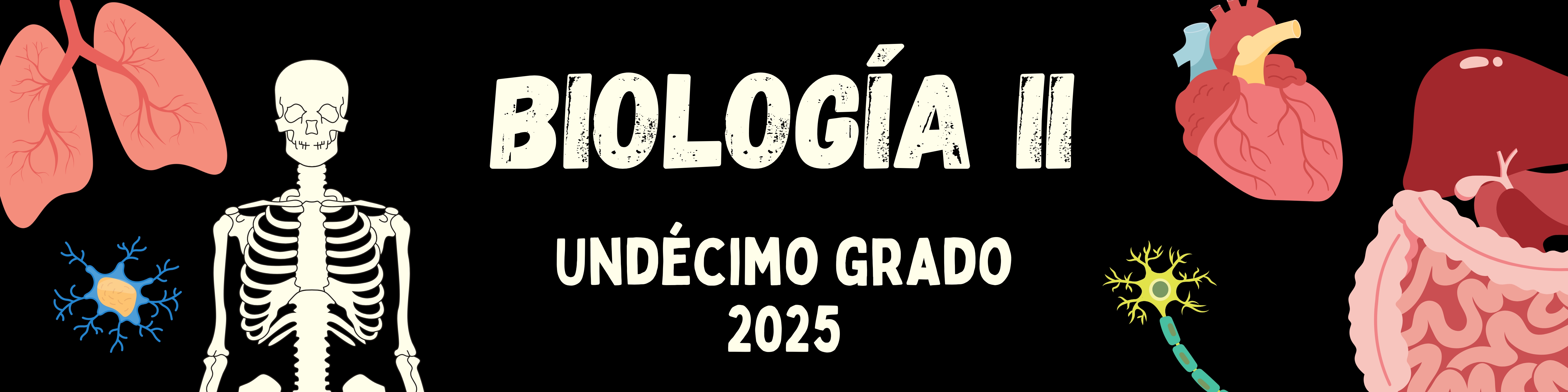 BIOLOGÍA II (GRA - II DE BACH. EN CH (A) - U) - 2025